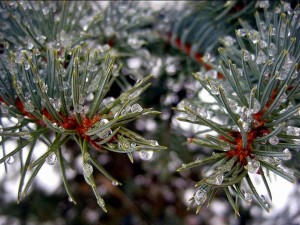 WaterDrops2