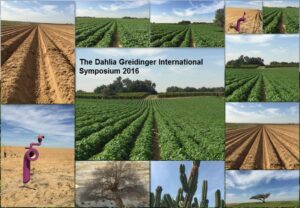 In memoriam of Dalia Gerdinger